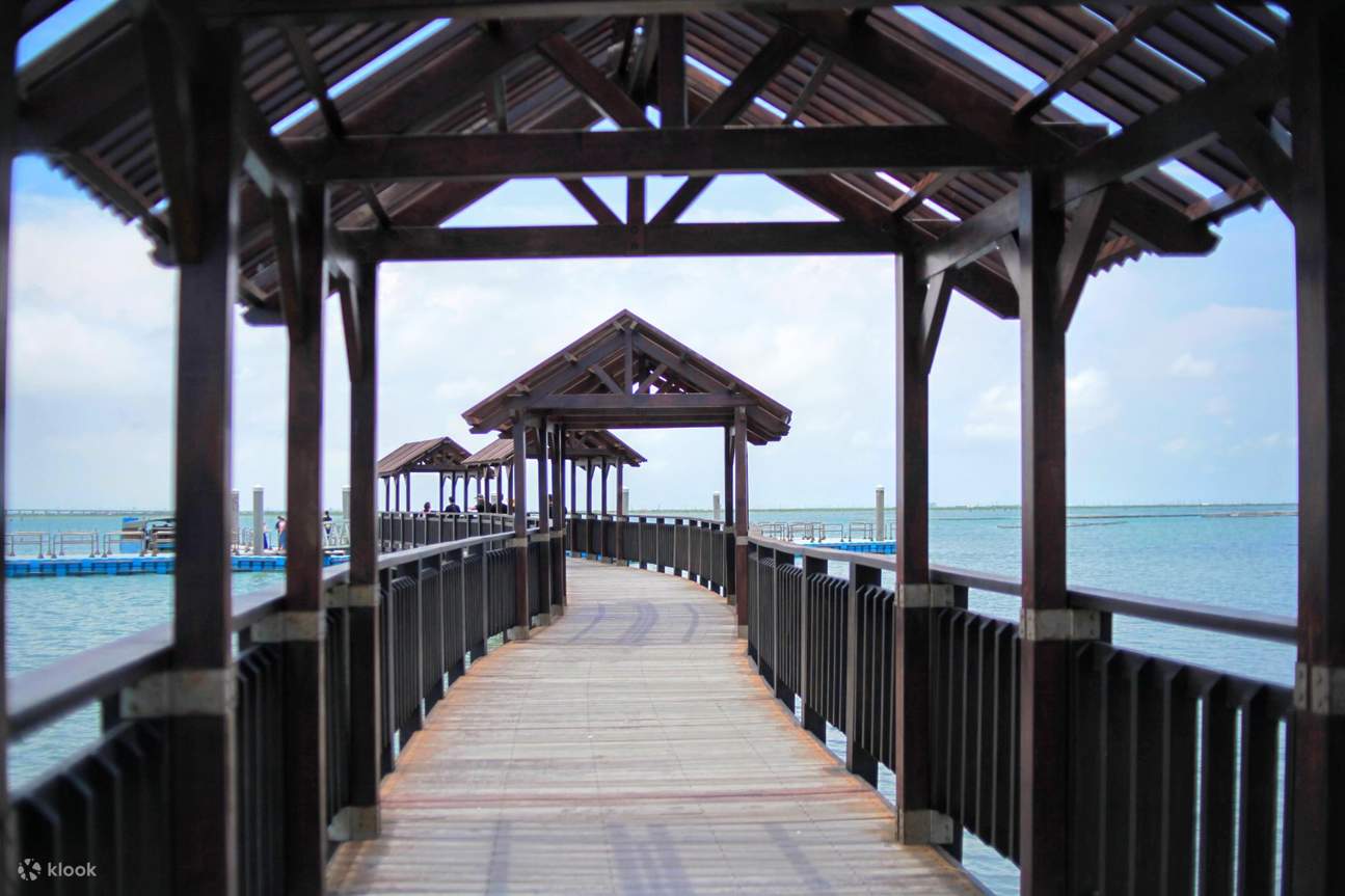 Excursion en radeau de bambou et dégustation d'huîtres à volonté à la lagune de Qigu Longshan, Tainan